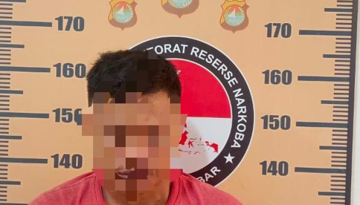 Ditresnarkoba Polda Sulbar Gagalkan Peredaran Sabu, Satu Pengedar Dibekuk di Polewali Mandar