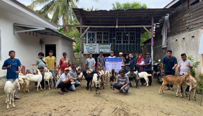 Pemprov Sulbar Salurkan Bantuan Ternak Kambing 1.870 Ekor untuk Peternak Lokal di Lima Kabupaten