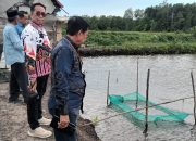 Kunjungan Tim Ahli Gubernur Sulbar: Menggali Potensi Tambak Pesisir di Pasangkayu   