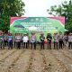 Kapolda Sulbar Pimpin Penanaman Jagung Serentak, Perkuat Komitmen Swasembada Pangan 2025   
