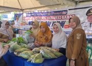 Upaya Stabilisasi Harga Bahan Pokok, Dinas TPHP Sulbar dan Distapang Gelar Pasar Murah