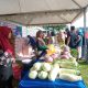 GPM Upaya Pemprov Sulbar Dekatkan Pasar ke Masyarakat  