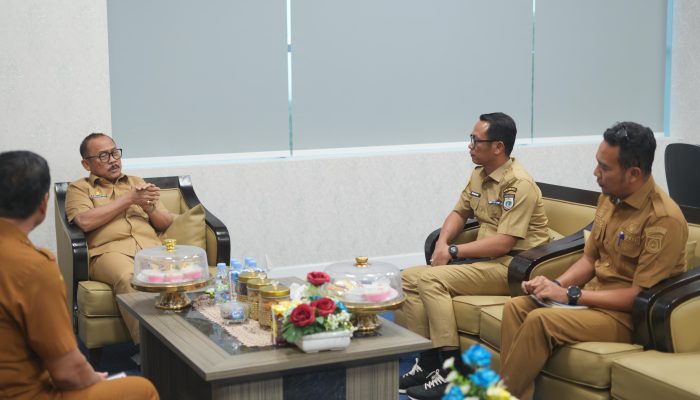 Kuota 40 Orang: Enam Kabupaten di Sulbar Dapat Kesempatan Kirim Perawat ke Jepang