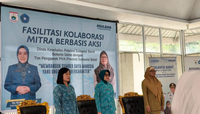TP PKK dan Dinas Kesehatan Sulbar Kolaborasi Perkuat Program PASTIPADU di Mamasa   