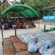 Dinas Ketapang Sulbar Sosialisasi dan Launching Kegiatan Pemberian Makan Bergizi di Majene