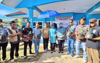 Distapang Sulbar Salurkan Bantuan Bibit Cabai Keriting, Bibit Cabai Rawit dan Bibit Tomat di 4 Kelurahan Kabupaten Mamuju   