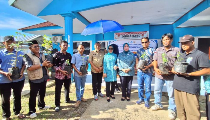 Distapang Sulbar Salurkan Bantuan Bibit Cabai Keriting, Bibit Cabai Rawit dan Bibit Tomat di 4 Kelurahan Kabupaten Mamuju   