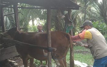 Pelayanan IB Tetap Berjalan Selama Bulan Ramadan di Sulawesi Barat