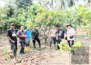 Perkuat Fondasi Perkebunan Sulbar, Pemerintah Percepat Penetapan Kebun Sumber Benih Kakao