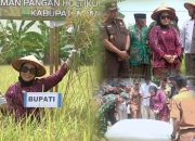 Pertanian Sebagai Sektor Unggulan Masih Menjadi Perhatian Serius Di Satu Tahun Kepemimpinan Tina-Yuki