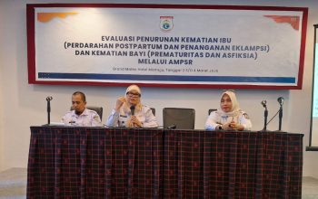 Kadis DKPPKB Berikan Penguatan Strategis, Implementasi Quick Wins Sulbar Sehat dari Penurunan AKI dan AKB