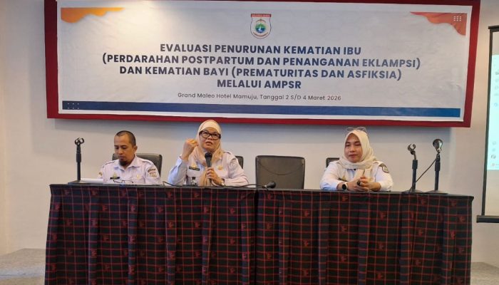 Kadis DKPPKB Berikan Penguatan Strategis, Implementasi Quick Wins Sulbar Sehat dari Penurunan AKI dan AKB