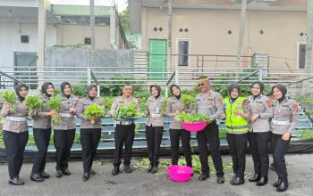 Panen Perdana Pekarangan Pangan Lestari Ditlantas Polda Sulbar, 100 Paket Sayur-Mayur Dibagikan Gratis ke Pengendara Tertib   