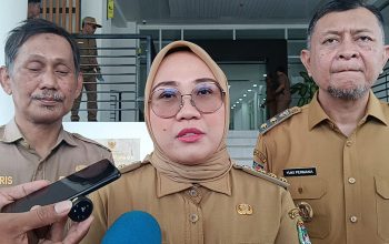 Bupati Mamuju Angkat Bicara Soal Ibu Melahirkan di Jalan Desa Kopeang