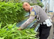 Panen Raya di Pekarangan Pangan Lestari Ditlantas, Hasilnya Dibagikan ke Pengendara Tertib Secara Gratis