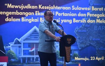 Pengembangan Komoditas Kakao di Sulbar Diproyeksi Memiliki Prospek Besar Beberapa Tahun ke Depan