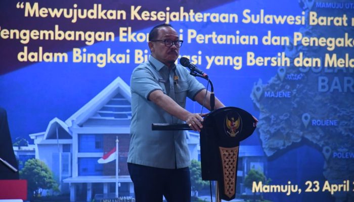 Pengembangan Komoditas Kakao di Sulbar Diproyeksi Memiliki Prospek Besar Beberapa Tahun ke Depan