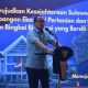 Pengembangan Komoditas Kakao di Sulbar Diproyeksi Memiliki Prospek Besar Beberapa Tahun ke Depan