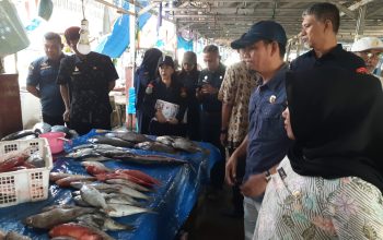 Wujudkan Ikan Sehat dan Berkualitas, Pemprov Sulbar Edukasi Pedagang PPI Binanga Lawan Zat Kimia Berbahaya