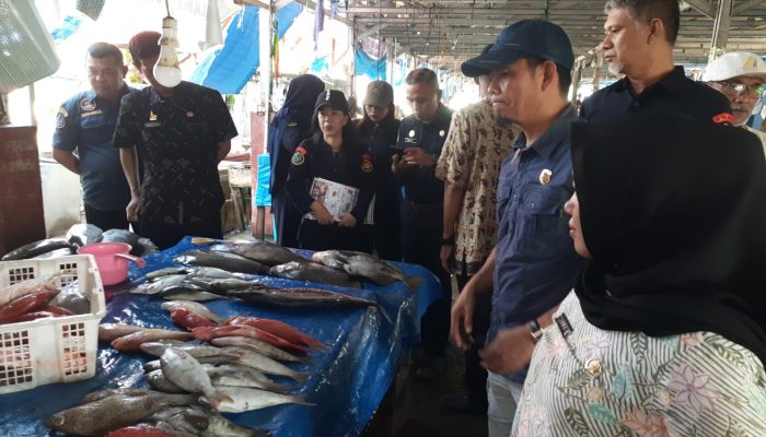 Wujudkan Ikan Sehat dan Berkualitas, Pemprov Sulbar Edukasi Pedagang PPI Binanga Lawan Zat Kimia Berbahaya