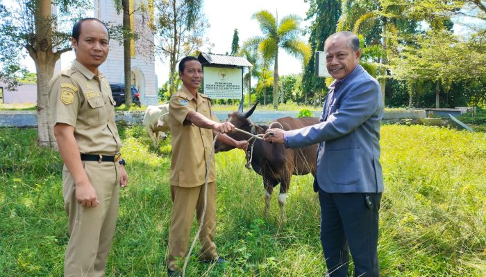 Wujud Kepedulian Sosial, Disperkimtanhub Sulbar Berpartisipasi dalam Ibadah Kurban