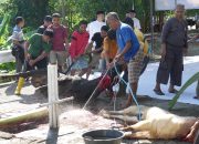 17 Sapi dan 33 Kambing Disembelih, Polda Sulbar Bagikan Daging Qurban untuk Personel dan Masyarakat   