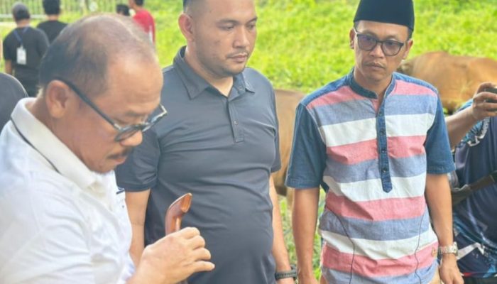 Karo Pemkesra Sulbar Dampingi Gubernur Laksanakan Penyembelihan Hewan Kurban di Halaman Rujab