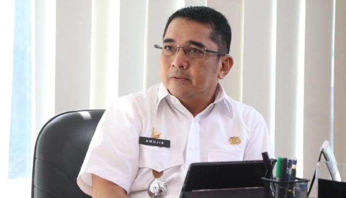Sulbar Jadi Terbaik I Penurunan Pengangguran di Sulawesi, Ini Penjelasan Bapperida