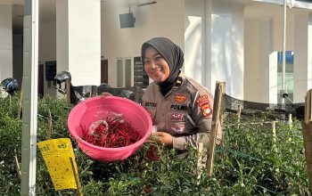 Konsisten Apresiasi Pengguna Jalan, Ditlantas Polda Sulbar Kembali Bagikan Sayur Segar Gratis untuk Pengendara Tertib