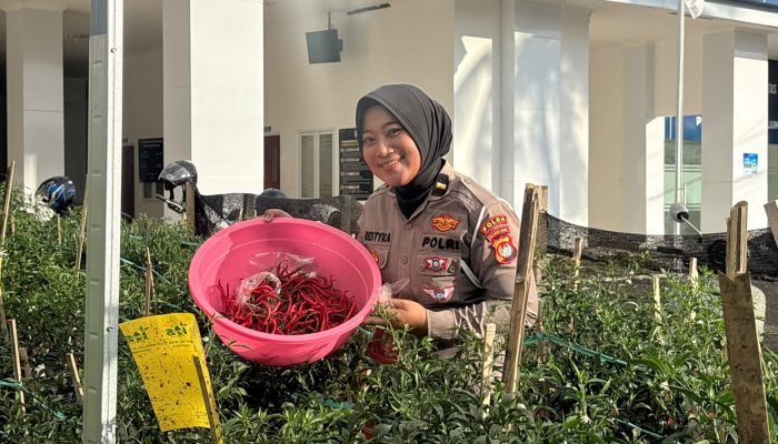 Konsisten Apresiasi Pengguna Jalan, Ditlantas Polda Sulbar Kembali Bagikan Sayur Segar Gratis untuk Pengendara Tertib
