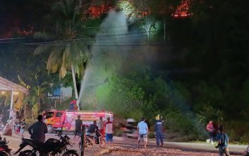 Pusdalops BPBD Sulbar Terima Informasi Kejadian Bencana Karhutla di Dusun Tanjung Batu   