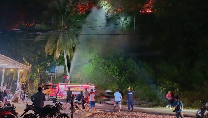 Pusdalops BPBD Sulbar Terima Informasi Kejadian Bencana Karhutla di Dusun Tanjung Batu   