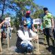 Cegah Abrasi Makin Meluas, Pemkab Mamuju Galakkan Aksi Tanam Mangrove di Wilayah Pesisir