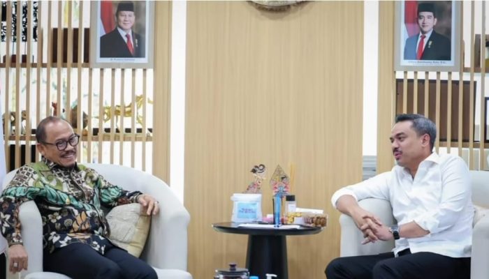 Gubernur Sulbar Audiensi dengan Menteri UMKM, Dorong Revitalisasi PLUT dan Penguatan UMKM Daerah
