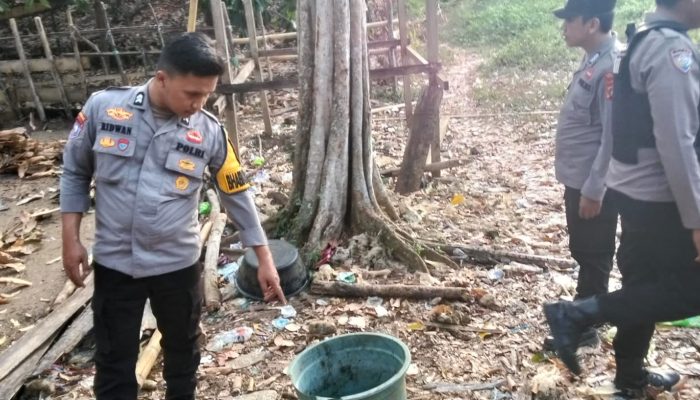 Pelaku Judi Sabung Ayam di Lereng Gunung Tapalang Berhasil Kabur Saat Hendak Digerebek Petugas  