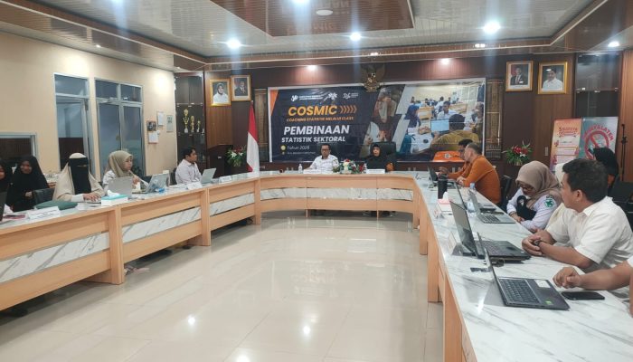 Perkuat Kualitas Data Sektoral, DiskominfoSS dan BPS Sulbar Gelar Cosmic Seri II