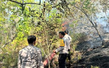 Polresta Mamuju Bersama TNI-Pemda Sigap Padamkan Karhutla di Desa Sumare, Permukiman Warga Terlindungi   