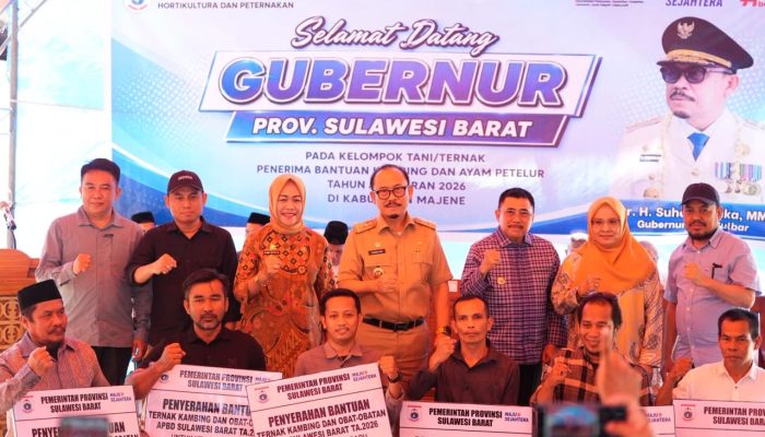 Pemprov Sulbar Salurkan 304 Kambing dan 2.200 Ayam Petelur ke Kelompok Tani Majene