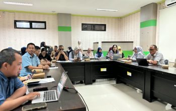 DKPPKB Sulbar Gelar Rapat Konsultasi Penyelarasan SPM Bidang Kesehatan Bersama Dinkes Mamasa