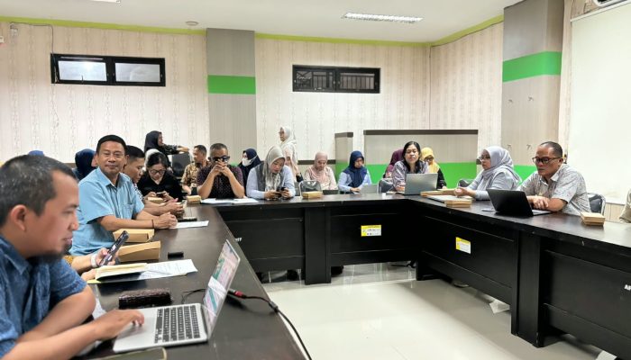 DKPPKB Sulbar Gelar Rapat Konsultasi Penyelarasan SPM Bidang Kesehatan Bersama Dinkes Mamasa