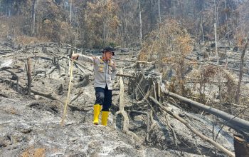 Karhutla Mengintai, Kapolres Mateng Minta Warga Tak Bakar Lahan   