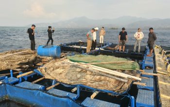Keramba Jaring Apung (KJA) di Pulau Karampuang Jadi Ruang Tumbuh Ekonomi Masyarakat