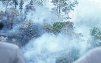 Kebun Warga di Bukit Kalubibing Terbakar, Polda Sulbar Gerak Cepat Padamkan Amukan Sijago Merah   
