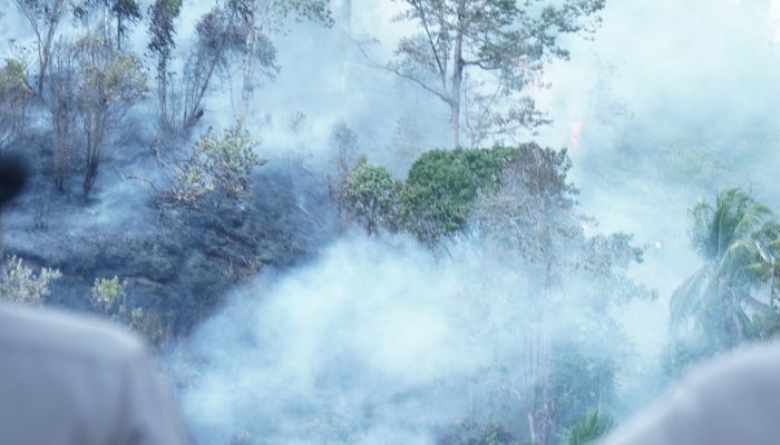 Kebun Warga di Bukit Kalubibing Terbakar, Polda Sulbar Gerak Cepat Padamkan Amukan Sijago Merah   