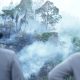 Kebun Warga di Bukit Kalubibing Terbakar, Polda Sulbar Gerak Cepat Padamkan Amukan Sijago Merah   