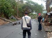 Hujan Intensitas Tinggi Disertai Angin Kencang di Mamuju, Pusdalops BPBD Sulbar Terima Informasi Pohon Tumbang di Dua Lokasi   