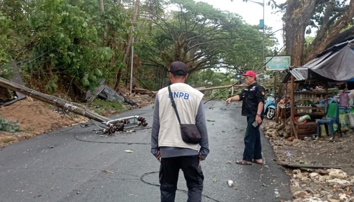 Hujan Intensitas Tinggi Disertai Angin Kencang di Mamuju, Pusdalops BPBD Sulbar Terima Informasi Pohon Tumbang di Dua Lokasi   