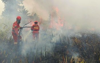 Asap Karhutla Meluas, Warga di Imbau Pakai Masker dan Kurangi Aktivitas Luar   