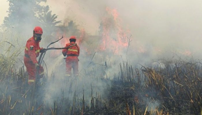 Asap Karhutla Meluas, Warga di Imbau Pakai Masker dan Kurangi Aktivitas Luar   