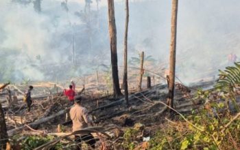 Kabut Asap Selimuti Mamuju Beberapa Hari Terakhir, BPBD Ingatkan Bahaya Partikulat Bagi Anak, Lansia, Ibu Hamil